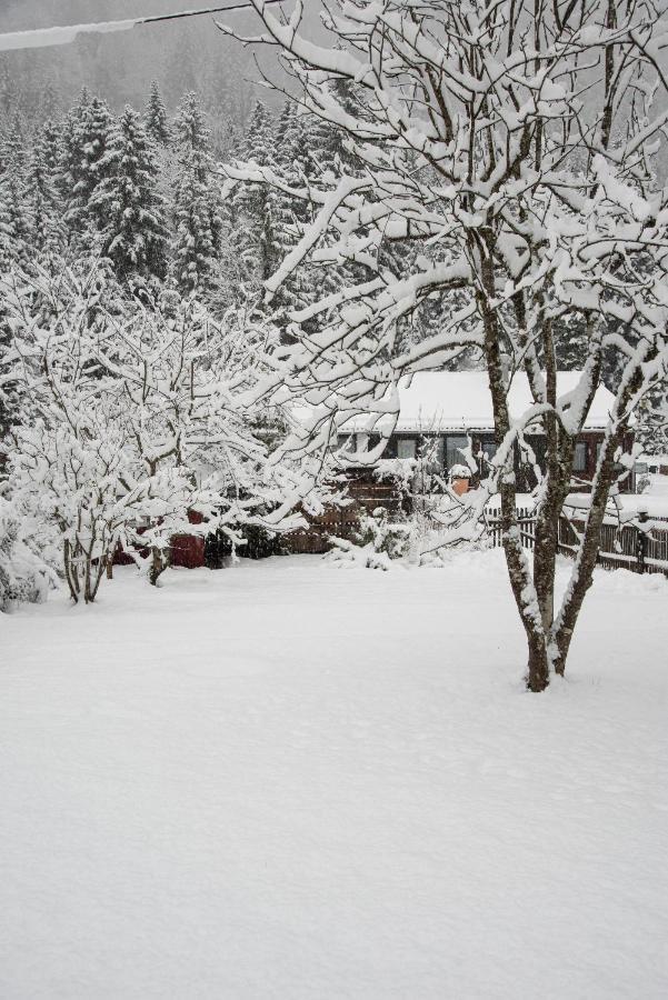 Gipfelkoenig Apartment Bayrischzell Exterior photo